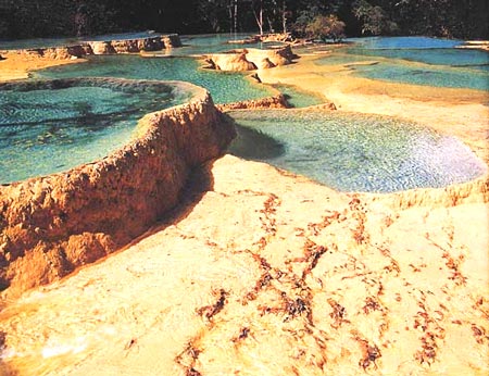 爭艷池群 攝影：四川旅遊信息網