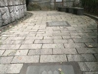佛手洞<br/> 攝影：Eva隨手拍