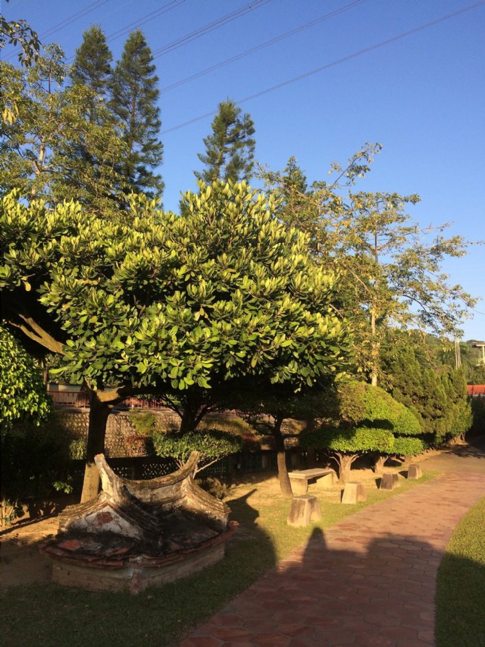 霧峰林家花園(萊園) 攝影：Eva隨手拍
