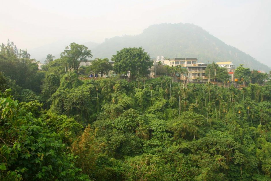 朦朧山景 攝影：老山羊部落格