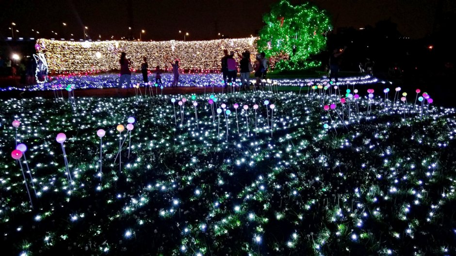 江翠礫間水岸公園 攝影：Eva隨手拍