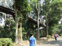 竹崎親水公園(天空走廊)<br/> 攝影：陳美吟