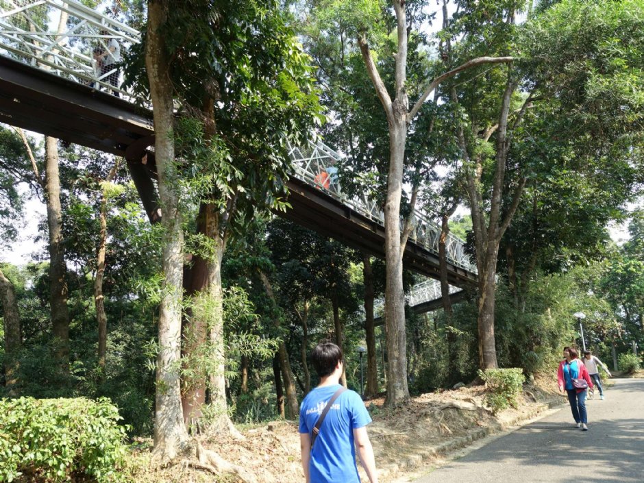 竹崎親水公園(天空走廊) 攝影：陳美吟