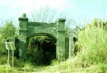 古堡遺蹟 攝影：呂玫瑢