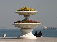 大連海濱<br/> 攝影：馮順