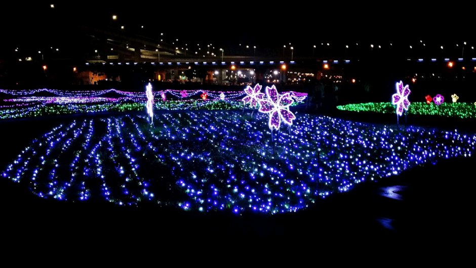 江翠礫間水岸公園 攝影：Eva隨手拍