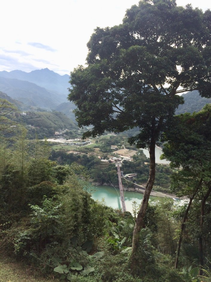 俯瞰新溪口吊橋 攝影：Eva隨手拍