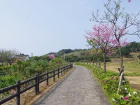大坑溪三生步道<br/> 攝影：Eva隨手拍