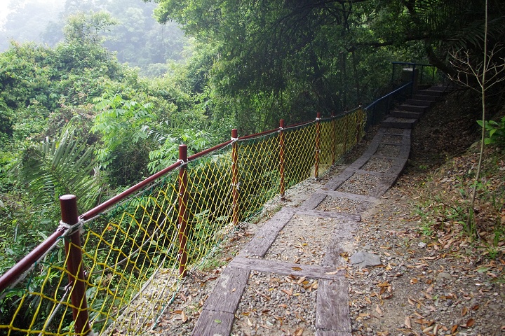 森林步道 攝影：Eva隨手拍