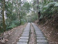 青龍山步道<br/> 攝影：旅遊王攝影組