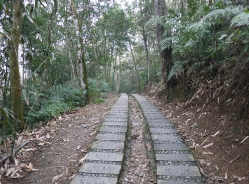 青龙山步道