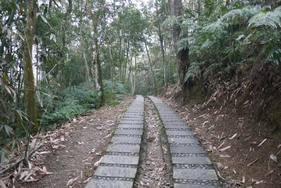 青龍山步道 攝影：旅遊王攝影組