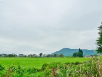 初英親水生態公園<br/> 攝影：Eva隨手拍