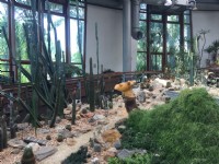 台北典藏植物園