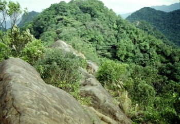 駱駝峰 攝影：周洪新
