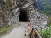 白楊步道<br/> 攝影：Eva隨手拍