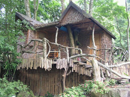 樹屋 攝影：到處走走