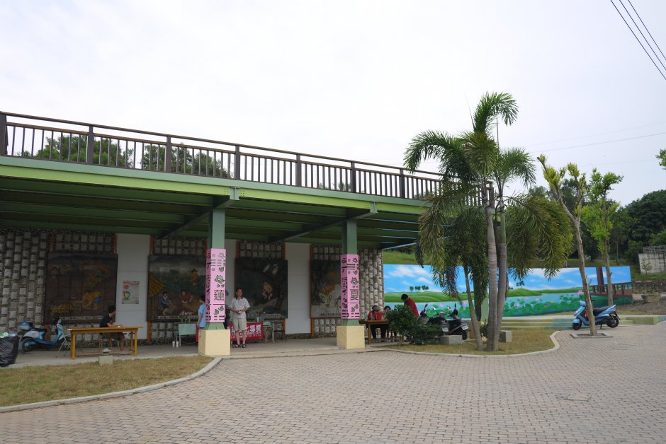 台南白河蓮花公園 攝影：三井