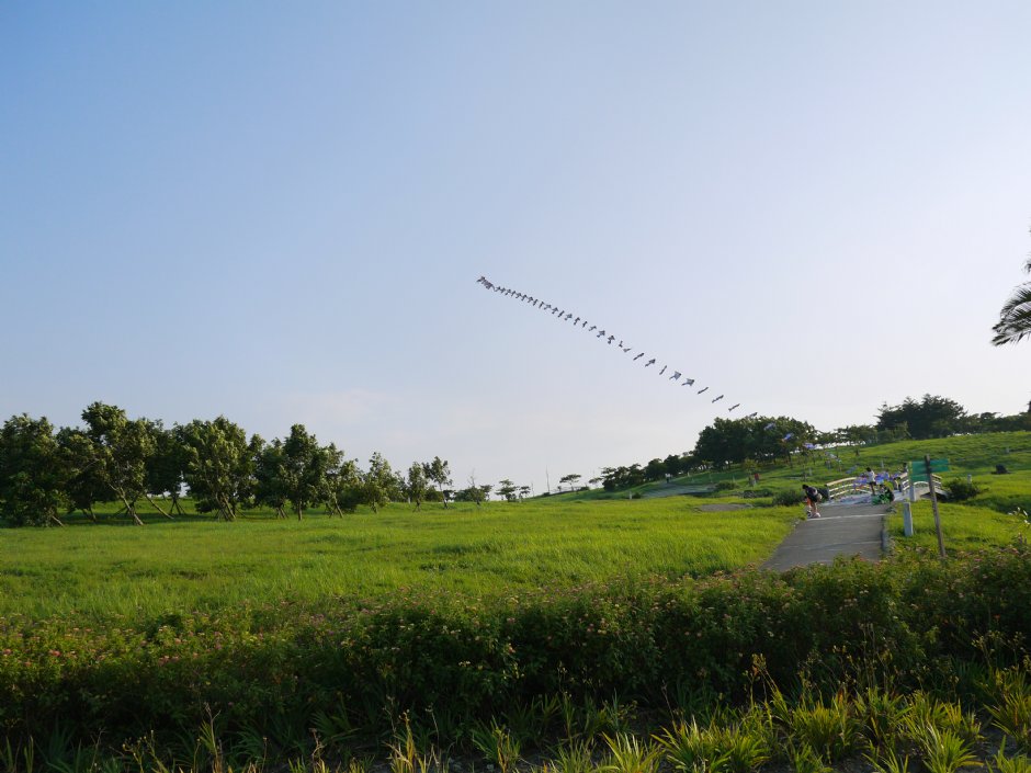高雄都會公園 攝影：三個井