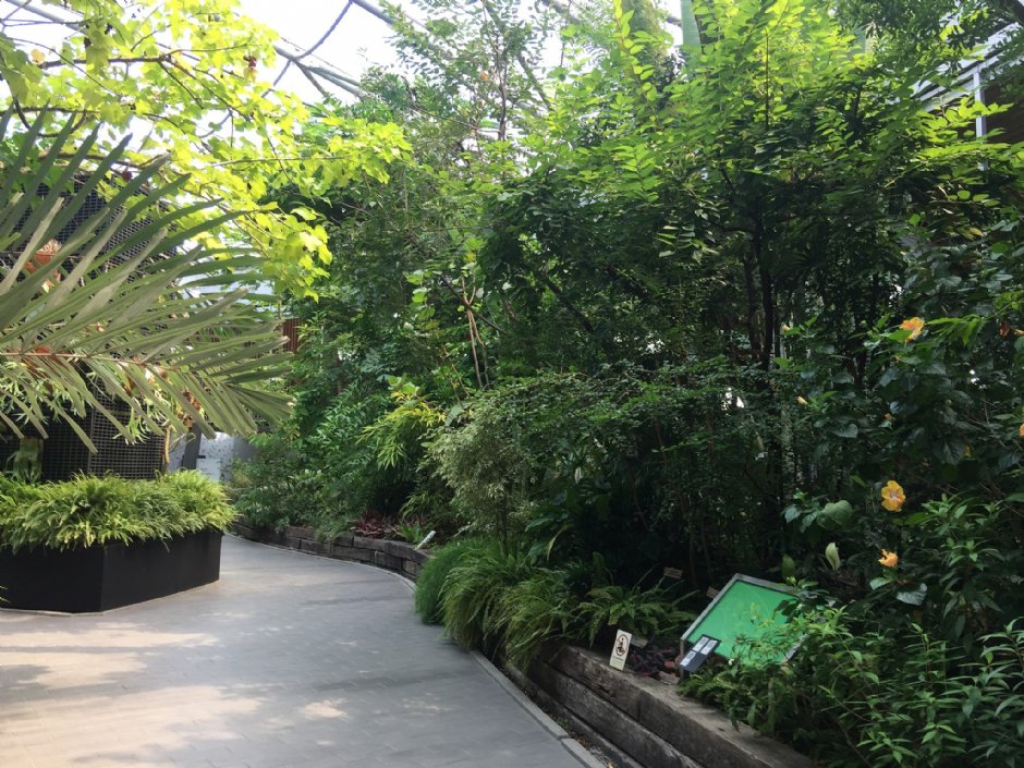 台北典藏植物園 攝影：Eva隨手拍