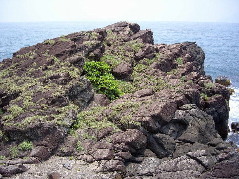 聽濤觀浪 攝影：老山羊部落格