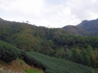 石壁風景區<br/> 攝影：Eva隨手拍