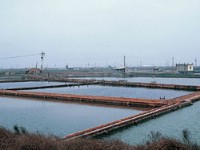 漁塭<br/> 攝影：雲林縣政府
