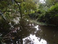 台北植物園<br/> 攝影：xcatx