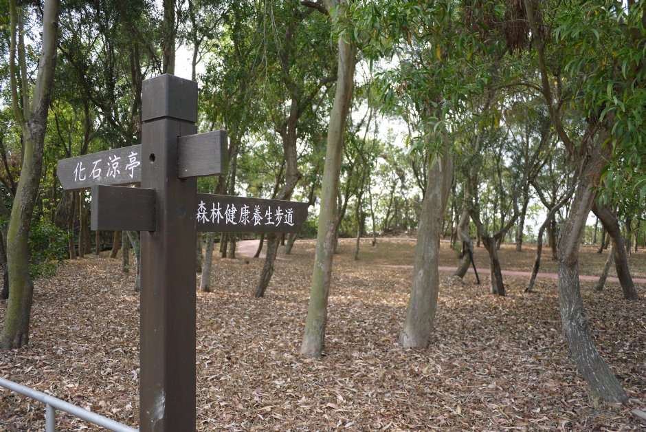 大崗山風景區生態區 攝影：三井