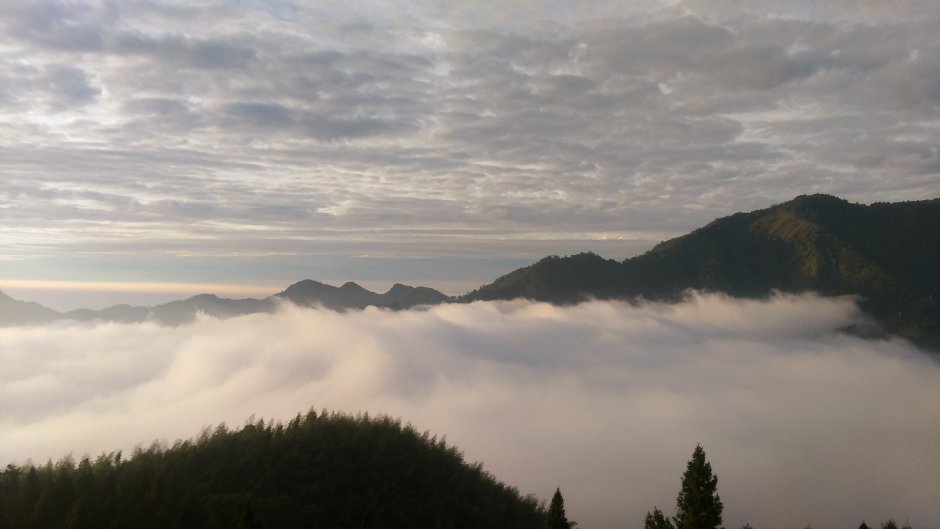 阿里山雲海 攝影：晏伶