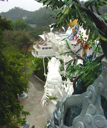 古榕盤根上俯觀妙園 攝影：林山景