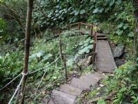 雙流國家森林遊樂區<br/> 攝影：三井