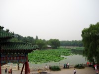 遼闊園景<br/> 攝影：方盛文