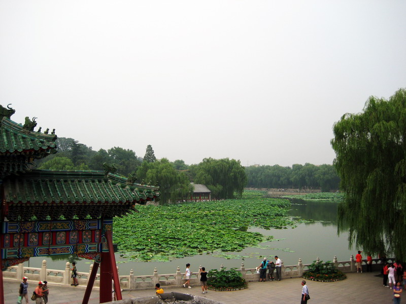 遼闊園景 攝影：方盛文
