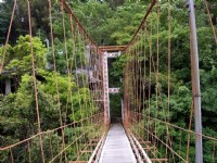 虎山吊橋橋面<br/> 攝影：老山羊(林文智)