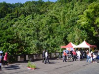 2016-2017茂林雙年賞蝶季<br/> 攝影：旅遊王攝影組