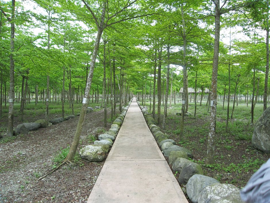 建設中的綠林步道 攝影：童永銓