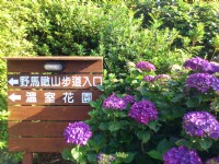野馬瞰山步道<br/> 攝影：Lu