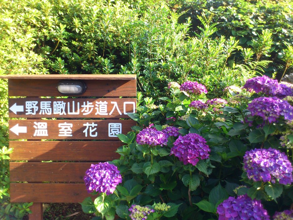 野馬瞰山步道 攝影：Lu