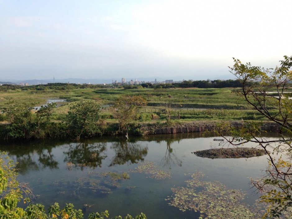 賞鳥廣場 攝影：陳皮梅