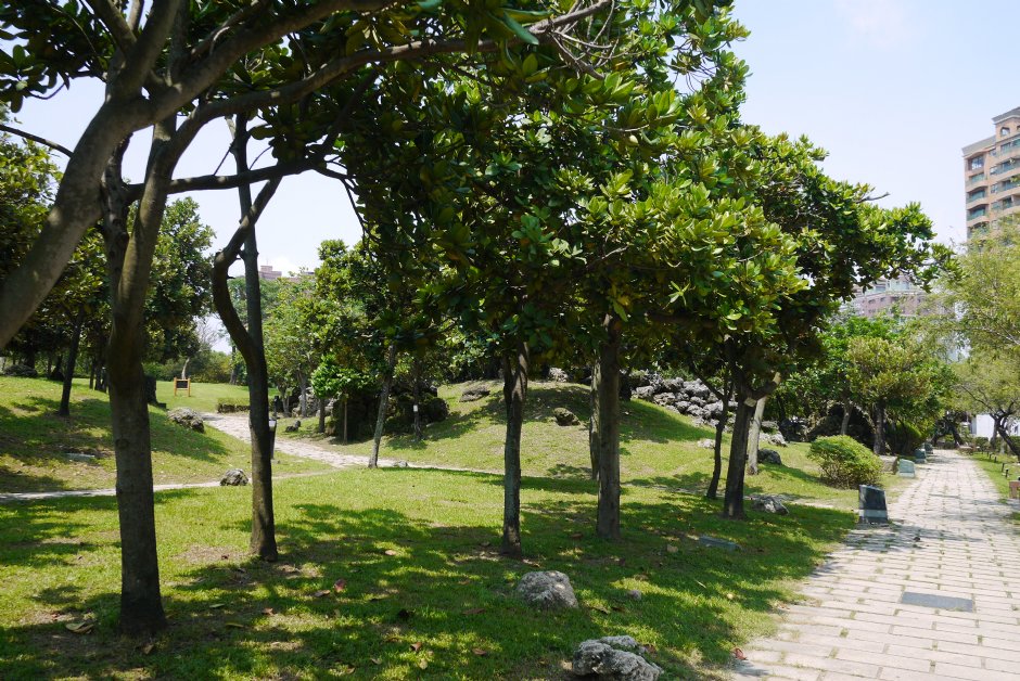 原生植物園 攝影：三井
