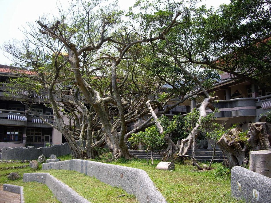 大溪國小-原野校景 攝影：老山羊部落格