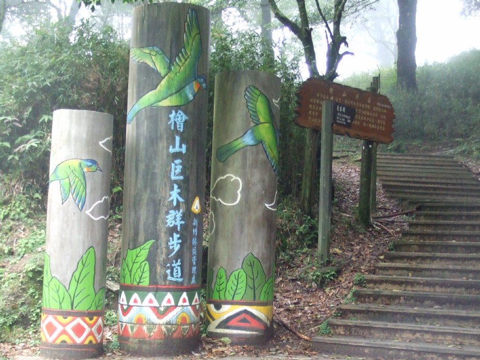 檜山巨木群步道 攝影：Lu