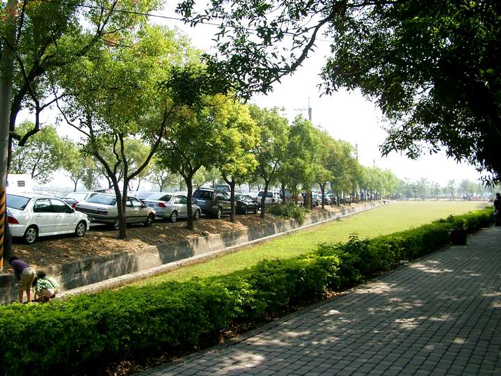 古坑綠色隧道 攝影：Eva隨手拍
