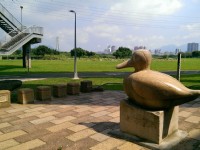 華江雁鴨自然公園<br/> 攝影：Eva隨手拍