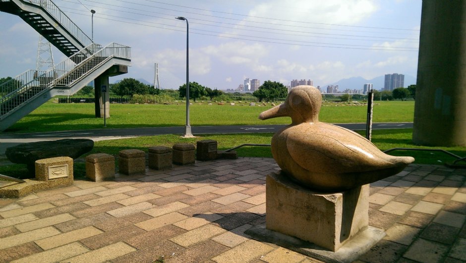 華江雁鴨自然公園 攝影：Eva隨手拍