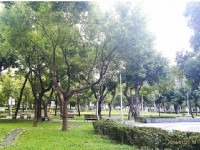 林森公園<br/> 攝影：Eva隨手拍