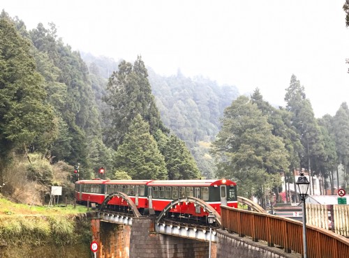 阿里山國家森林遊樂區