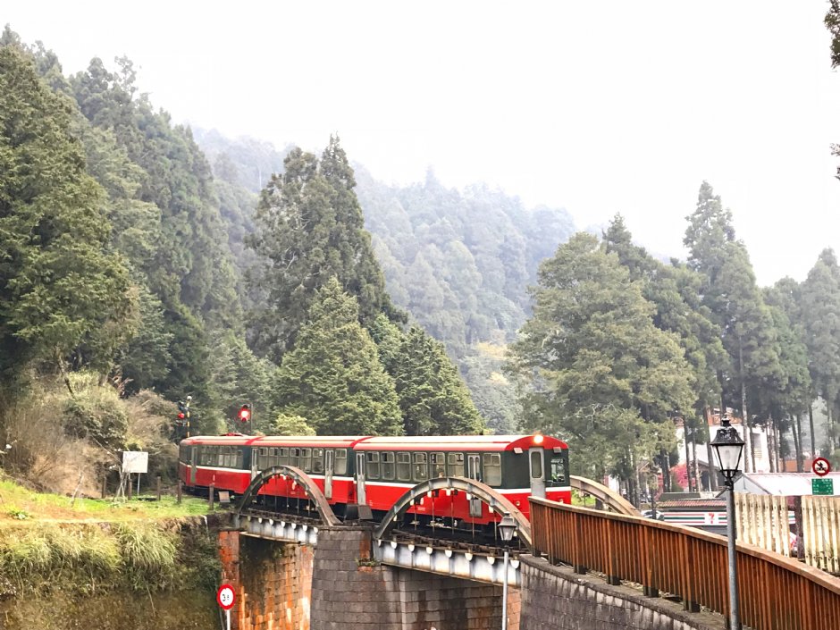 阿里山森林小火車 攝影：陳皮梅