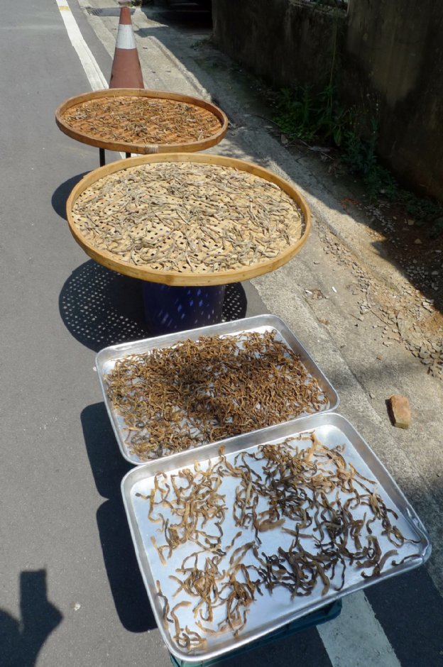 新埔老街(成功老街) 攝影：Eva隨手拍